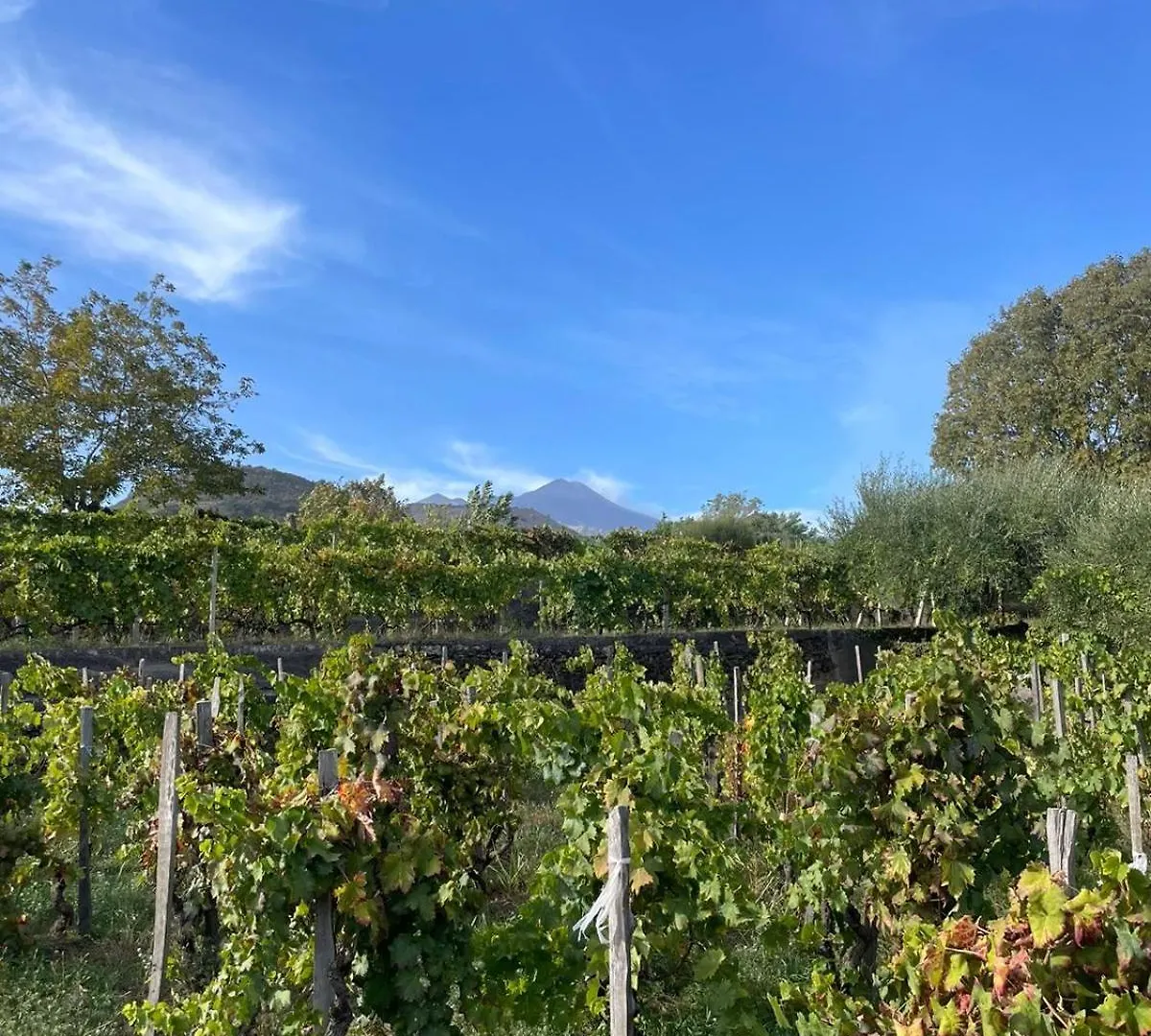 Luxury Historic Villa Near Catania, Taormina, The Sea And Mount Etna By Sicilian Relaxing Homes جاري بيت للعطل